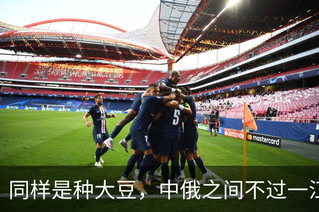 同样是种大豆,中俄之间不过一江之隔,为何产量却差近一倍?