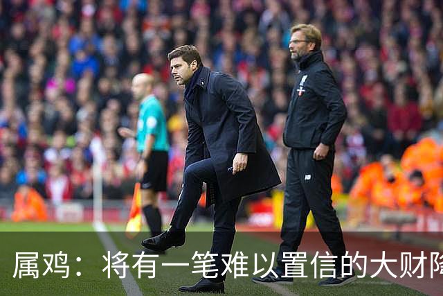 属鸡:将有一笔难以置信的大财降临,2027年,你要乐开花!